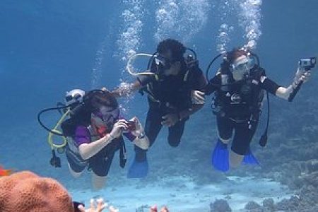 Diving in Hurghada