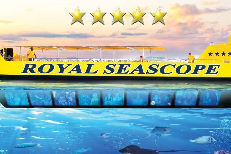 Royal submarine voyage